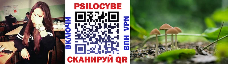 Псилоцибиновые грибы ЛСД  купить наркотик  Цоци-Юрт 